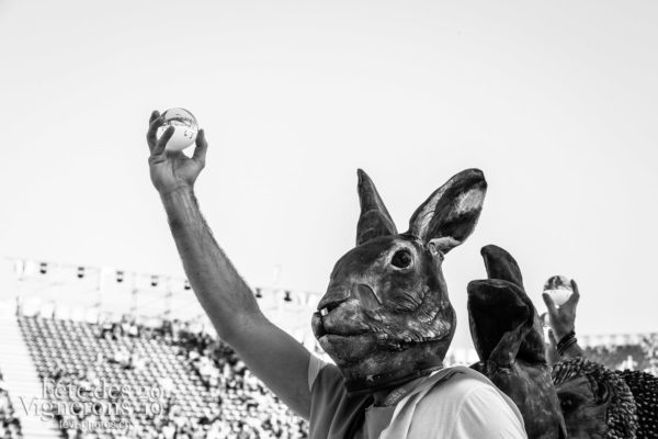 4 juillet répétition dans l'arène - Hommes du premier printemps, Photographies de la Fête des Vignerons 2019.