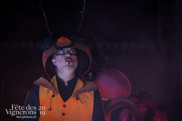 Première répétition en costume ! - Choristes-percussionnistes, Fourmis, Percussionnistes, Répétition générale, Sauterelles, Photographies de la Fête des Vignerons 2019.