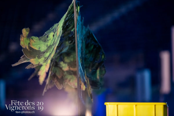Représentation presse - Représentation, Vendanges, Photographies de la Fête des Vignerons 2019.