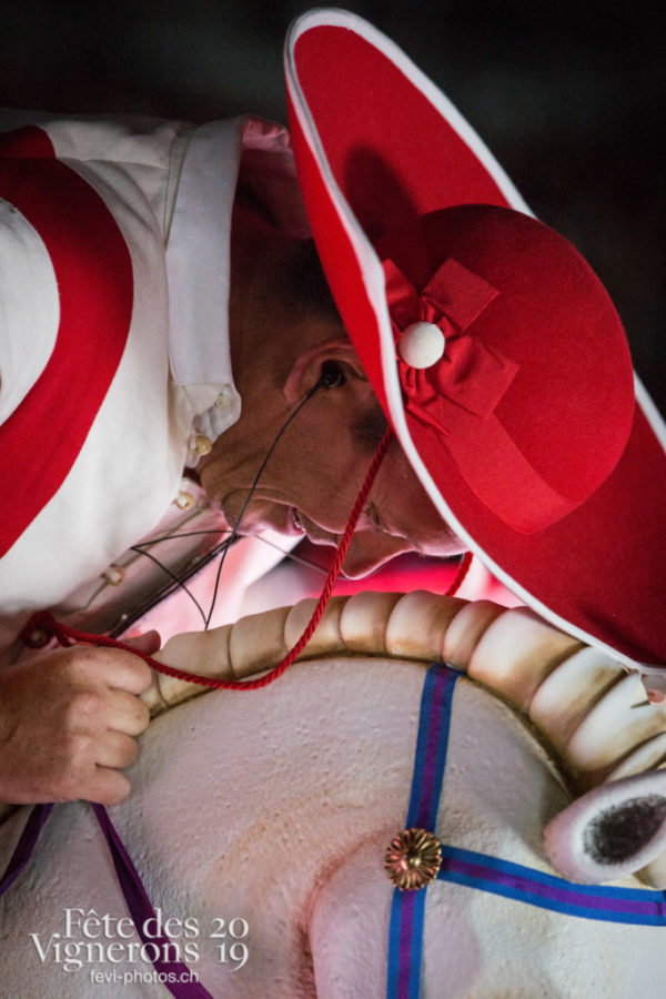 Répétition - Cent pour Cent, Photographies de la Fête des Vignerons 2019.