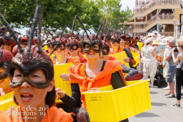 Cortège du Couronnement - Cortège, Cortèges Confrérie, Fourmis, Photographies de la Fête des Vignerons 2019.