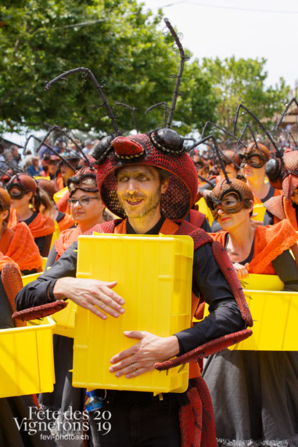 Cortège du Couronnement - Cortège, Cortèges Confrérie, Fourmis, Photographies de la Fête des Vignerons 2019.