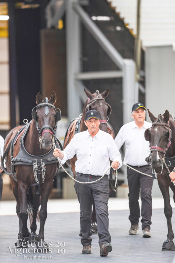 Répétition Noce - Noce, Répétitions, Photographies de la Fête des Vignerons 2019.