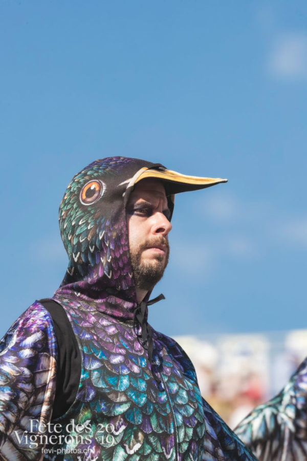 Répétition générale N° 2 - Coulisses, Etourneaux, Photographies de la Fête des Vignerons 2019.