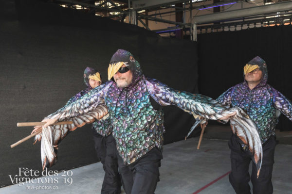 Répétition générale N° 2 - Coulisses, Etourneaux, Photographies de la Fête des Vignerons 2019.