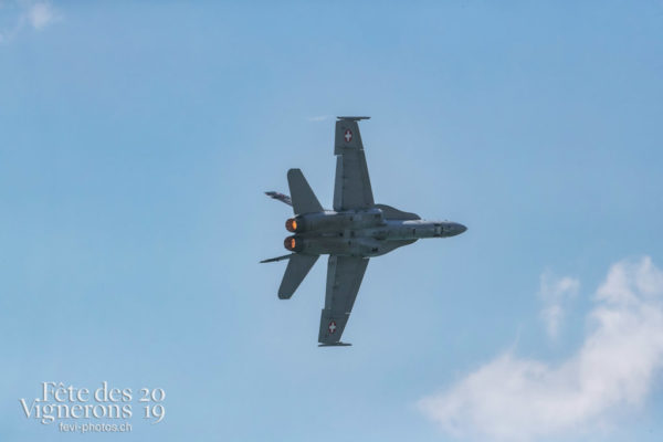 FeVi2019 à l'OLMA 2018 - Patrouille suisse, Photographies de la Fête des Vignerons 2019.