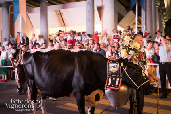 07-16_rue_JulieM-2946 - Armaillis, Rue, Vaches, Photographies de la Fête des Vignerons 2019.