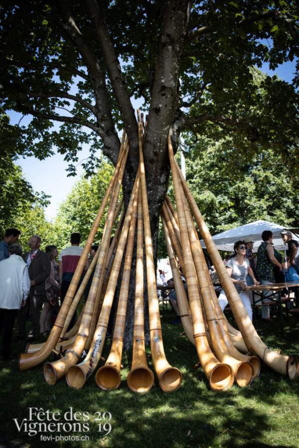 08-08_journée_vaud_photoshop_©JulieMasson-8176 - District Riviera Pays d'En Haut, Journées cantonales, Un jour au Paradis, Photographies de la Fête des Vignerons 2019.