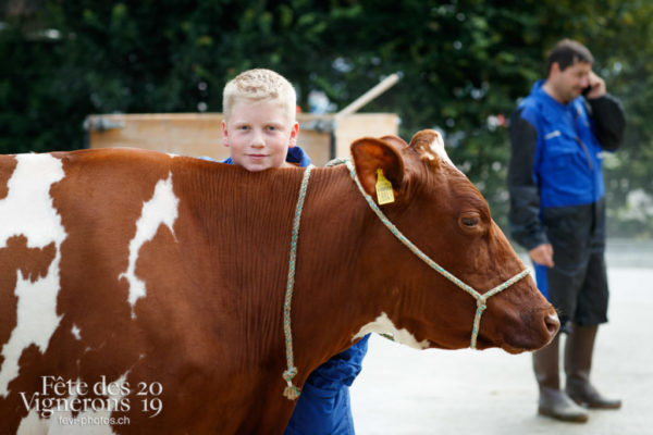 Ce vendredi 12 juillet, les vaches du spectacle sont arrivée à la ferme, au Jardin Doret.