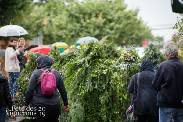 Cortège journée cantonale - Bâle Glaris Jura, Cortège, Journées cantonales, Photographies de la Fête des Vignerons 2019.