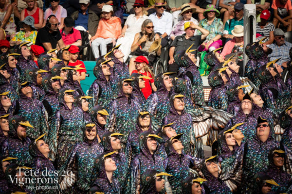 Spectacle - Etourneaux, Spectacle, Photographies de la Fête des Vignerons 2019.