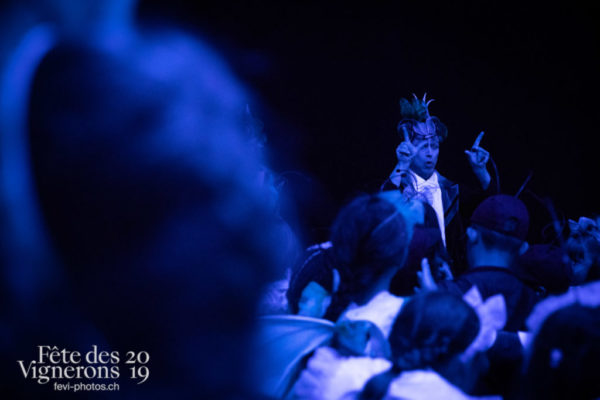 2019-08-02_spectacle_21h00_photoshop_JulieM-4486 - Spectacle, Photographies de la Fête des Vignerons 2019.