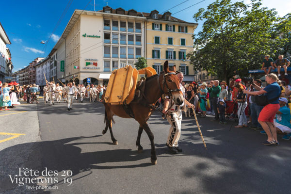 Cortège de la Confrérie
