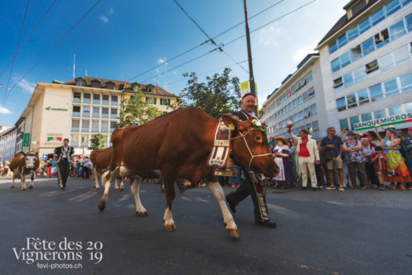 Cortège de la Confrérie - Armaillis, Cortège, Cortèges Confrérie, Ville en Fête, Photographies de la Fête des Vignerons 2019.