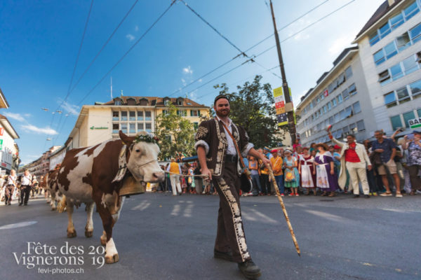 Cortège de la Confrérie - Armaillis, Cortège, Cortèges Confrérie, Ville en Fête, Photographies de la Fête des Vignerons 2019.