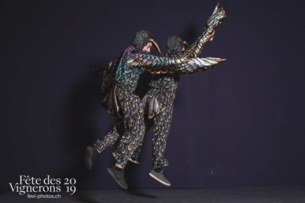 Studio - Etourneaux, Studio, Photographies de la Fête des Vignerons 2019.