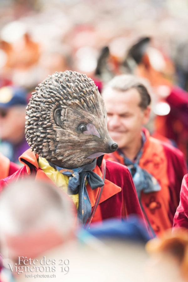 Cortège - Cortège, Cortèges Confrérie, Photographies de la Fête des Vignerons 2019.