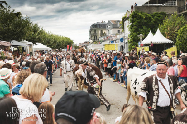 Cortège