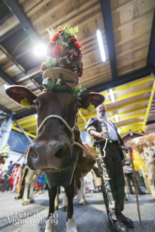 Spectacle nuit - Armaillis, Coulisses, Spectacle, Photographies de la Fête des Vignerons 2019.